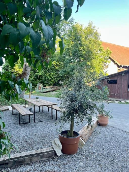 Zauberhafte Ferienscheune Im Hofgut Alte Oelmuehle Engen Luaran gambar