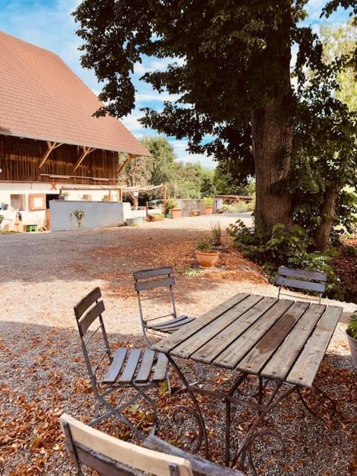 Zauberhafte Ferienscheune Im Hofgut Alte Oelmuehle Engen Luaran gambar